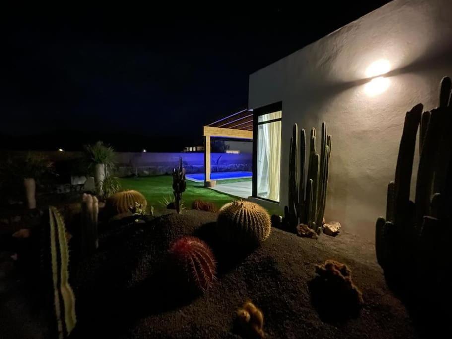 Bungalow + Piscina Independiente La Oliva Exterior foto